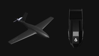 Interceptigon effectors